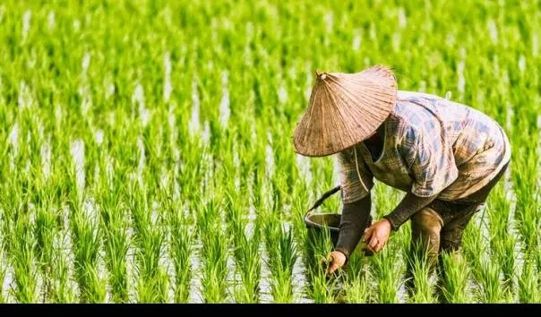 Semarak Hari Krida Pertanian 2024 dengan  Merayakan Keberhasilan dan Menatap Masa Depan Cerah Pertanian Indonesia