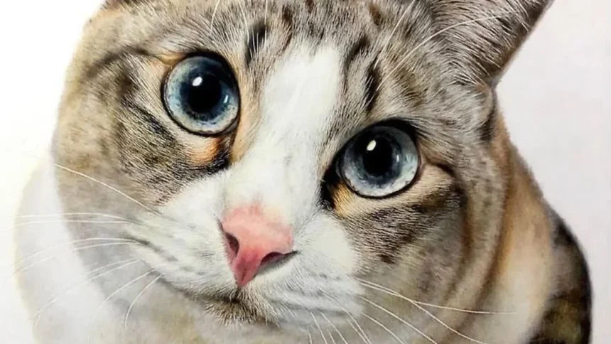 GBK Dituding Tak Peduli Hewan, Warganet Kecam Larangan Beri Makan Kucing Liar_Jurnal Faktual