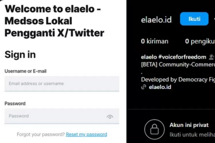 Heboh Ela Elo, Antara Klaim Pengganti X dan Bantahan Menkominfo