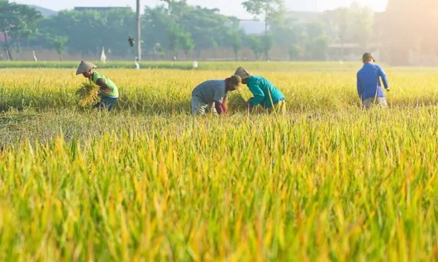 Bertani Hebat, Petani Keren, Semarak Hari Krida Pertanian 2024