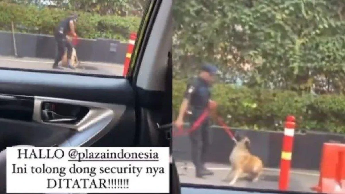 Fakta Mengejutkan Pengakuan Satpam Plaza Indonesia, Pukul Anjing Fay!