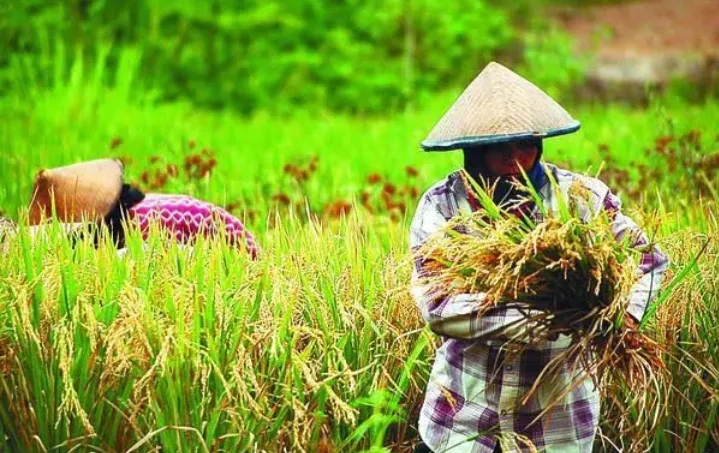 Hari Krida Pertanian dengan Membangkitkan Semangat Generasi Muda untuk Memajukan Pertanian Indonesia