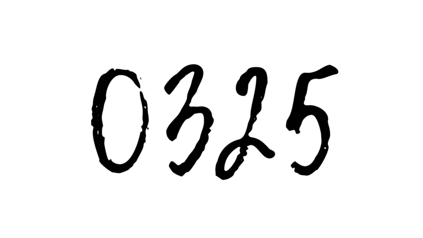 Kode ASCII 0325: Apa Sih Artinya?