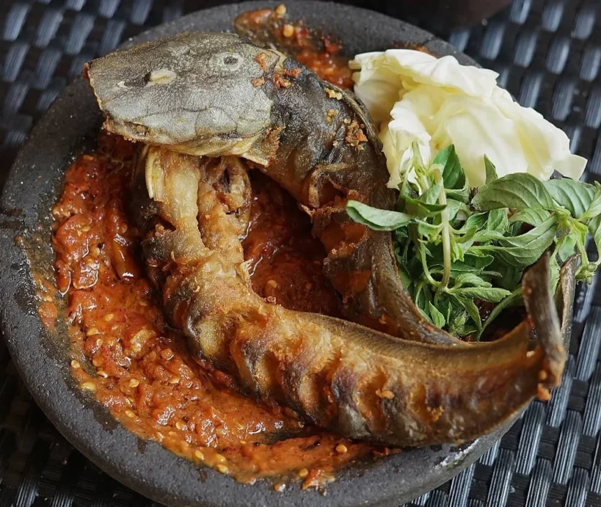 Pecel Lele Pedas Se-Jakarta: Temukan 8 Surga Kuliner Pedas yang Menggoda Selera