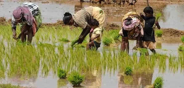 Hari Krida Pertanian dengan Menyatukan Semangat Menuju Kedaulatan Pangan Nasional