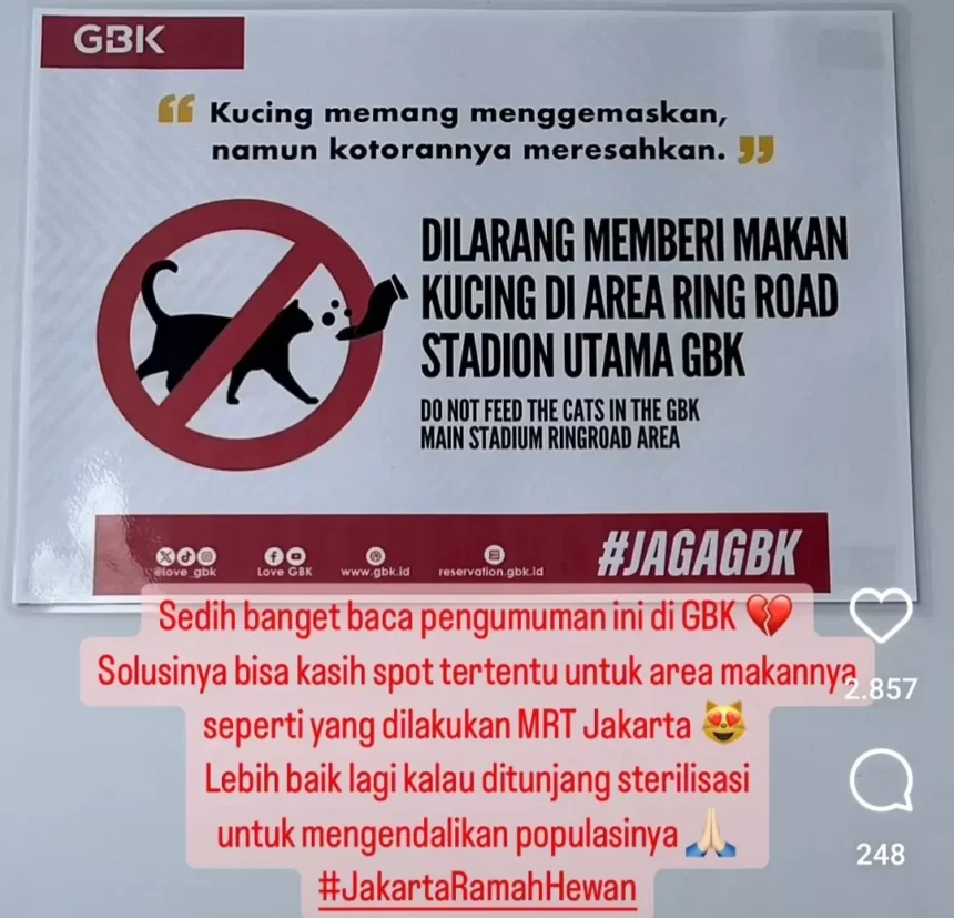 Larangan Memberi Makan Kucing Liar di GBK! Kebijakan Tak Berempati atau Solusi Tepat?