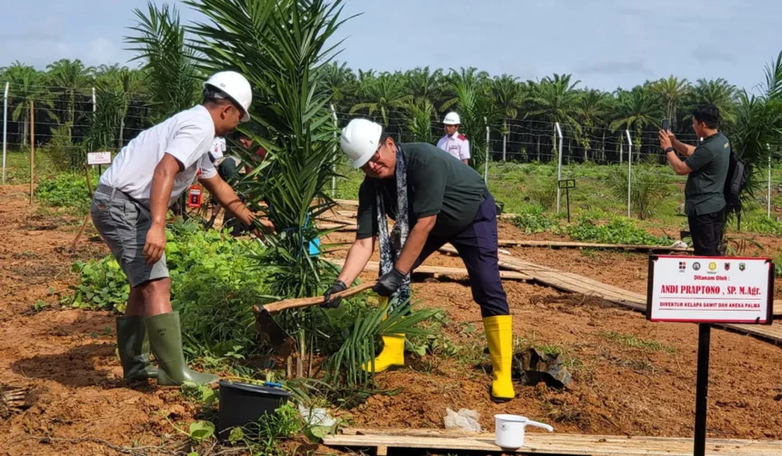 Menghargai Peran Penting Perkebunan dalam Membangun Perekonomian Indonesia