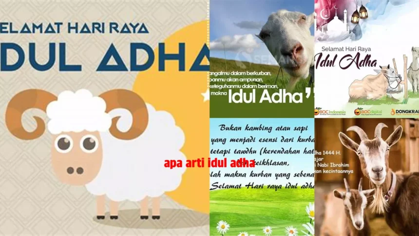 Lebih dari Sekedar Kurban! Idul Adha Mendorong Kepedulian dan Solidaritas
