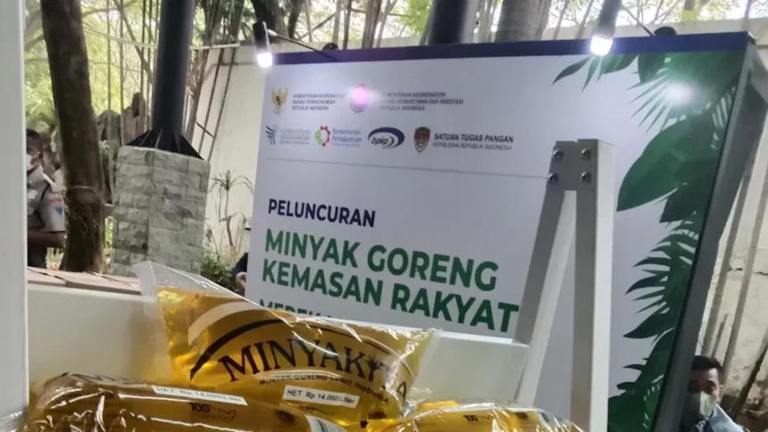Kenaikan Harga Minyakita: Faktor Penyebab dan Dampaknya pada Ekonomi Rumah Tangga
