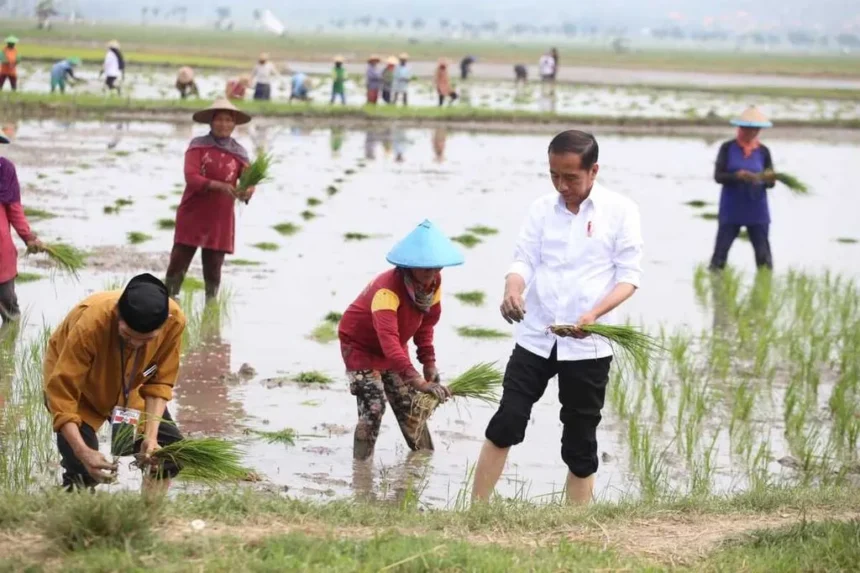 Hari Pertanian Nasional dengan Mengapresiasi Peran Pertanian dalam Pembangunan Nasional