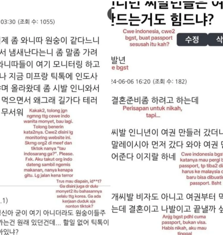 Heboh! Netizen Korea Sebut Cewek Indonesia 'Monyet Pribumi' di Forum Indosarang