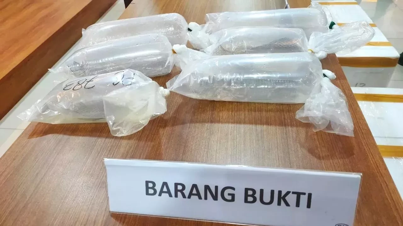 Jalan Terjal Berantas Penyelundupan Benih Bening Lobster (BBL)