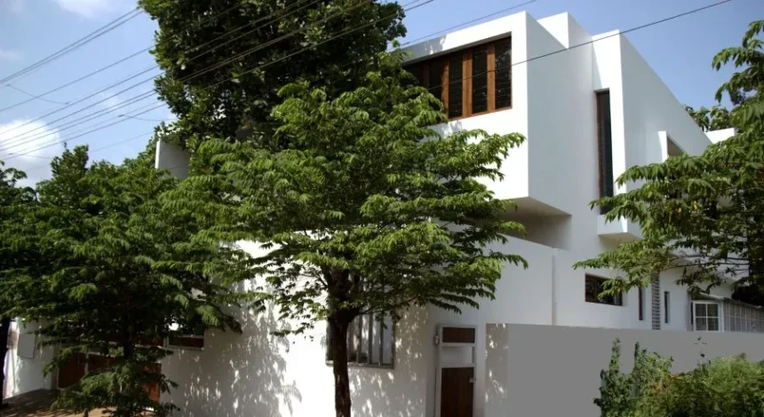 Pohon Peneduh Terbaik untuk Rumah: 7 Jenis Tanaman Hijau Tanpa Risiko Merusak Fondasi!
