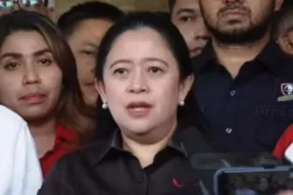 Puan Maharani Tantang Jokowi Sebut Dukungan!
