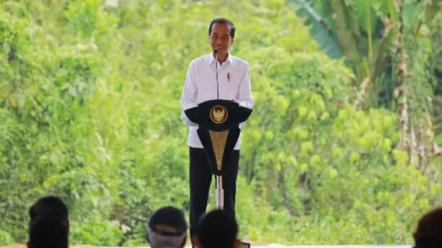 Masa Depan Ikn: Warisan Bermasalah Jokowi?