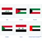 Kenapa Bendera Negara Timur Tengah Banyak Yang Mirip? Ini Sejarahnya!