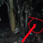 Antara Angker Dan Berkah: Malam Jumat Ngeri Ngeri Sedap