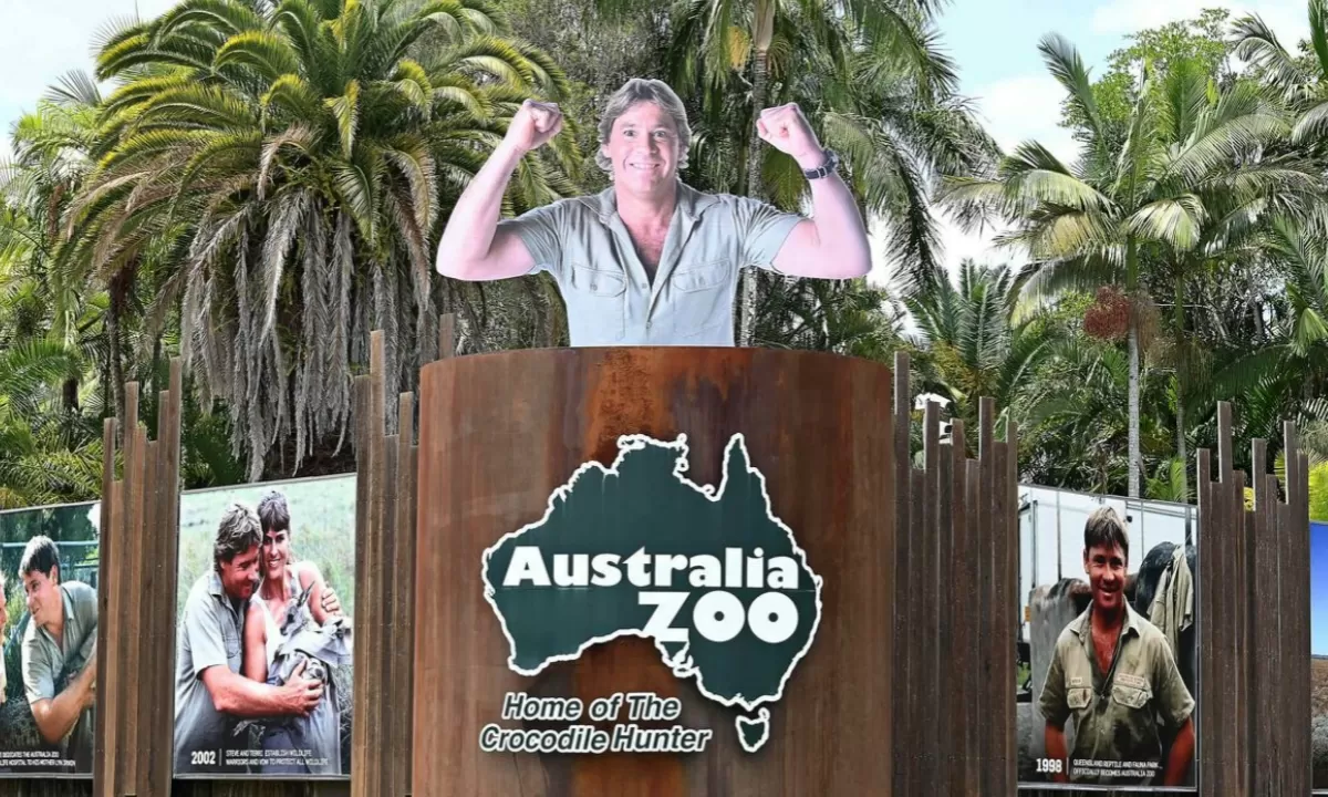 You Won’t Believe What This Wallaby Did at Australia Zoo!