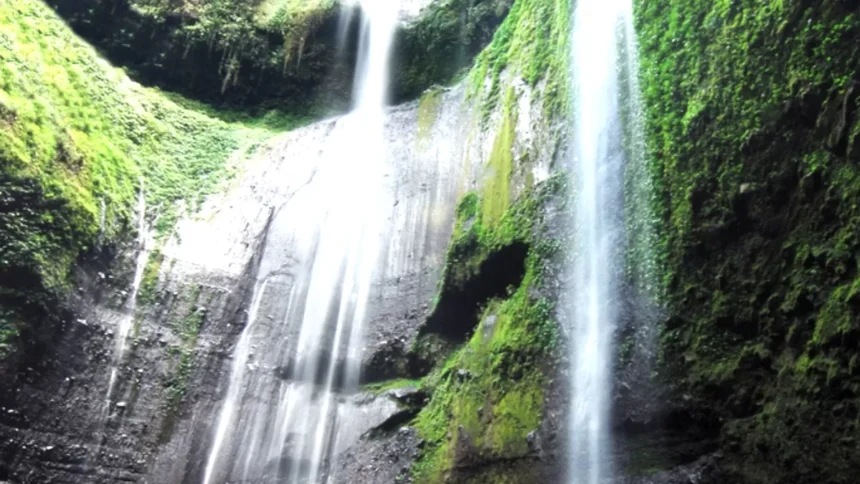 Siap Liburan Untuk Menyambut Tahun Anyar? Wajib Banget Kunjungi 4 Spot Wisata Alam di Jawa Timur Ini!