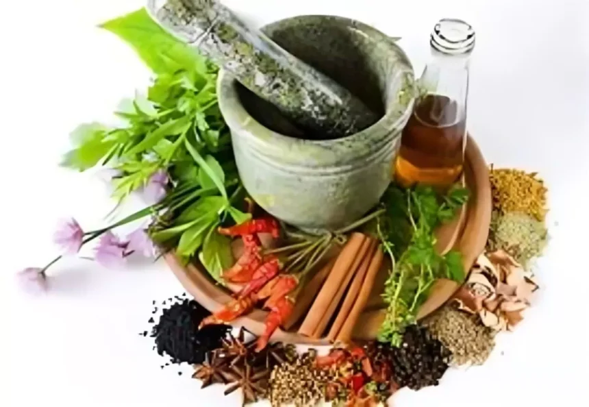 Obat Herbal Ala Dapur