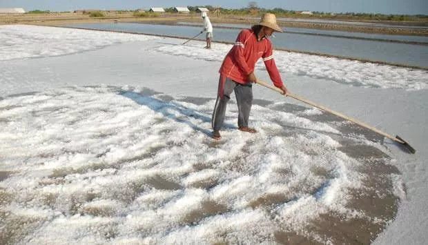 Tom Lembong, Agro Maritim dan Garam: Menjawab Luhut Binsar Panjaitan dan Bahlil Lahadalia