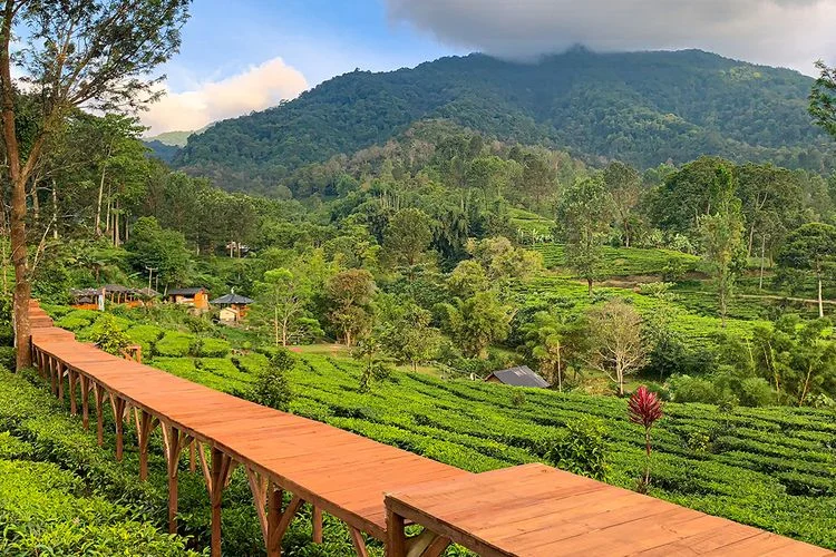 5 Tempat Camping Keluarga Terbaik di Sepanjang Februari 2024