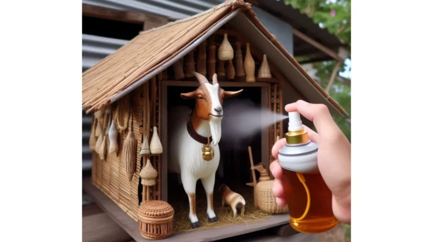 Cara Gampang Hilangkan Bau Kandang Kambing, Cuma Pake Bahan Alami!