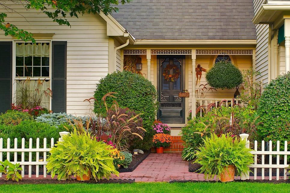 10 Cara Menata Tanaman Hias di Halaman Rumah yang Sempit Agar Tampak Rapi dan Cantik