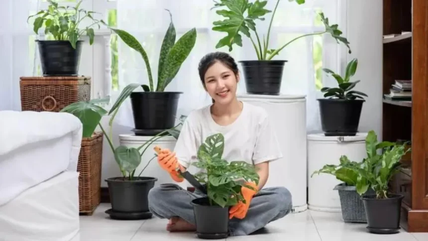 10 Tanaman Hias Gampang Banget Dirawat, Cocok Buat Kamu yang Baru Mulai Berkebun!