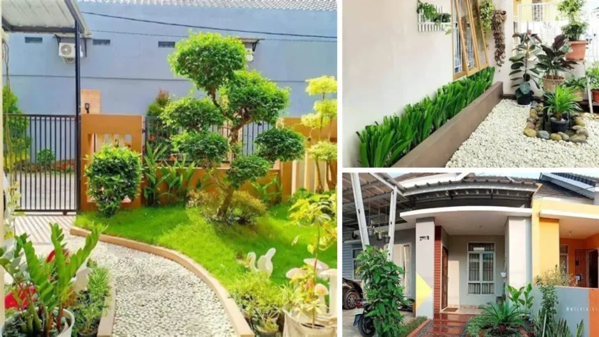 Taman Depan Rumah: Solusi Cantik dalam Terbatasnya Ruang