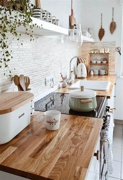 Desain Atap Dapur Transparan, Menghadirkan Pencahayaan yang Baik
