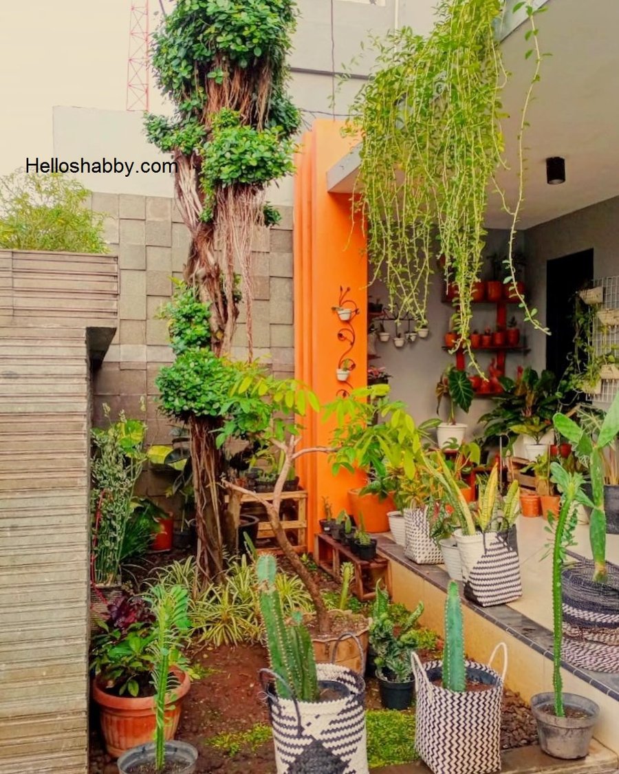 cara menghias teras rumah dengan bunga - James Wallace