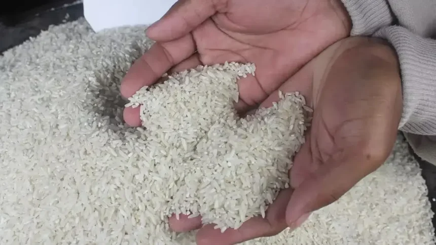Hoaks Terkait Beras Kerap Bikin Resah Masyarakat, Simak Faktanya