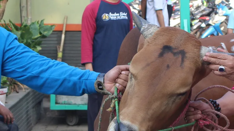 Idul Adha 2023, Bukan Sekedar Qurban, Tapi Manifestasi Kepedulian dan Persatuan Bangsa