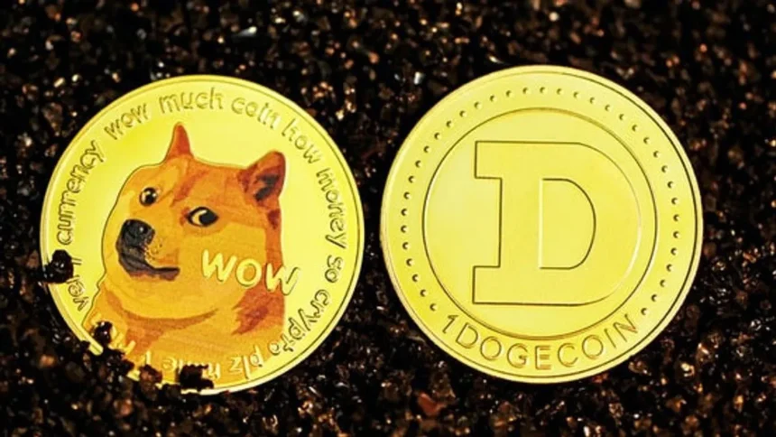 Kabosu Si Anjing 'Doge' Meninggal, Harga Dogecoin Anjlok