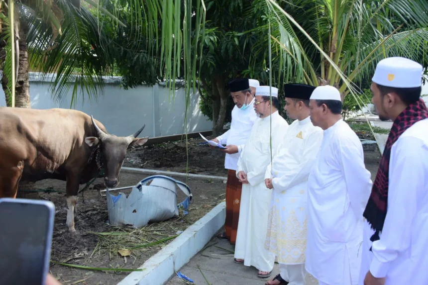 Hewan Kurban: Antara Keharusan Agama dan Rasa Kemanusiaan