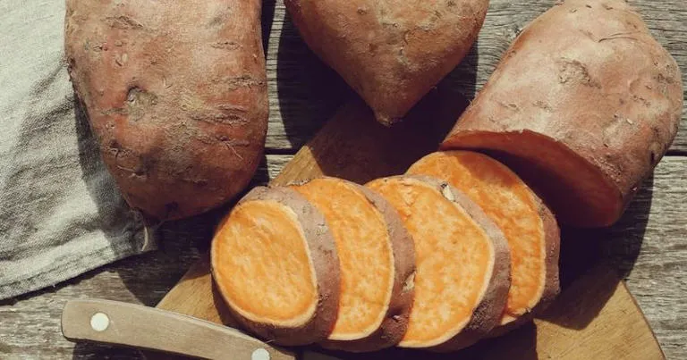 Nasi Bikin Mual Saat Hamil? Ini 10 Makanan Pengganti yang Sehat!