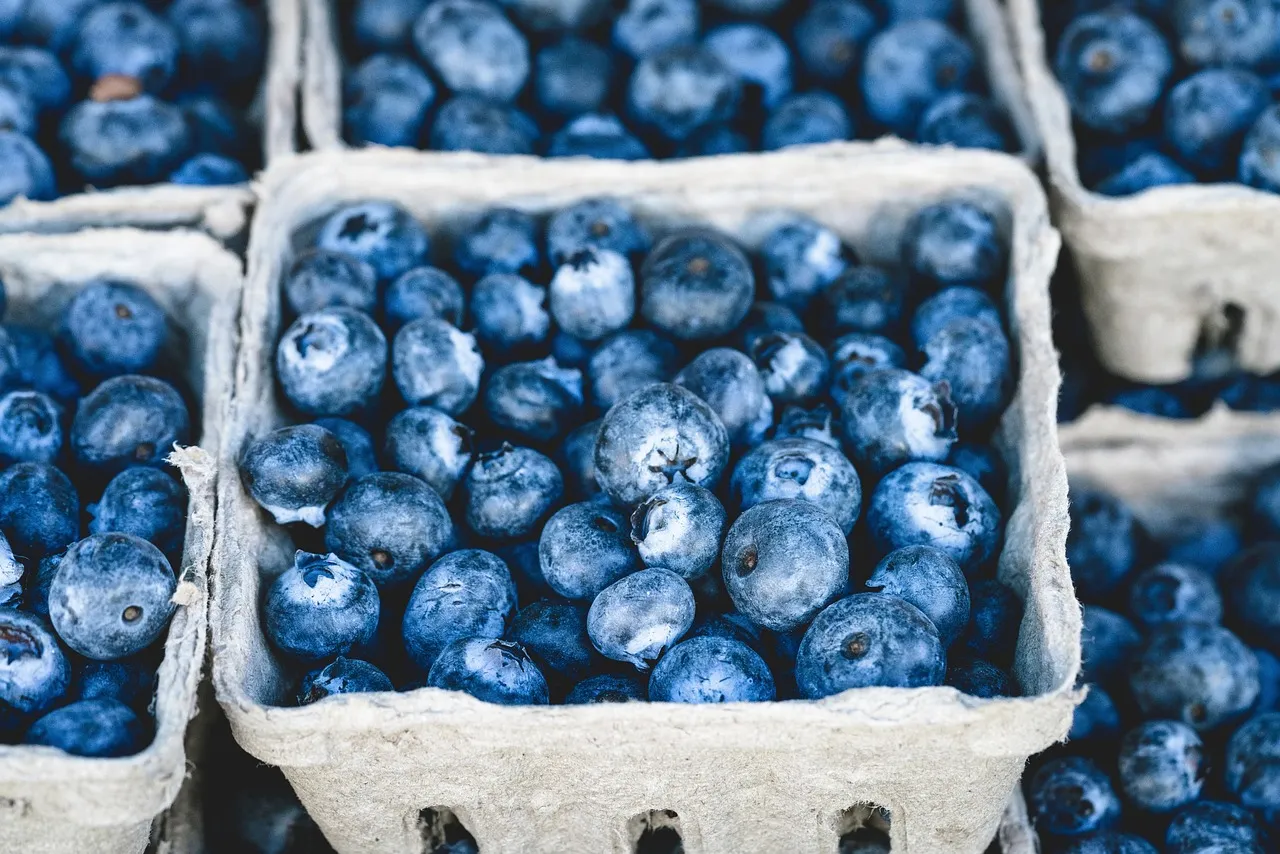 Manfaat Blueberry: Buah Kecil dengan Segudang Kebaikan untuk Kesehatan