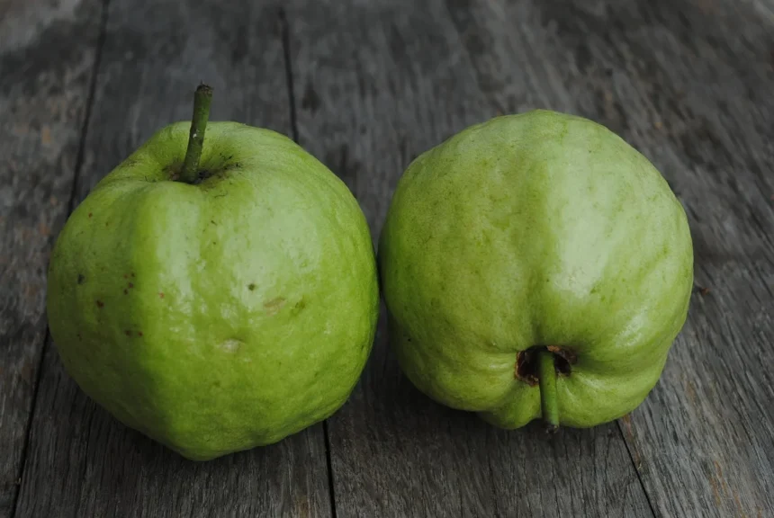 Manfaat Jus Jambu: Minuman Segar dengan Segudang Kebaikan