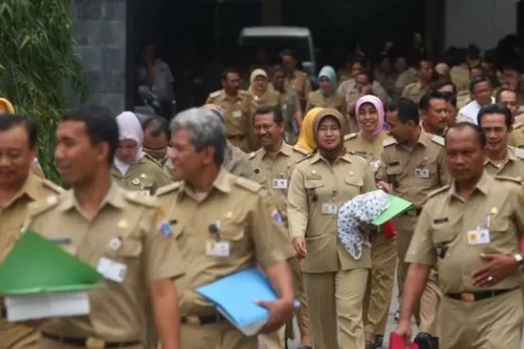 CPNS 2024: Mimpi Besar atau Realita Sulit?