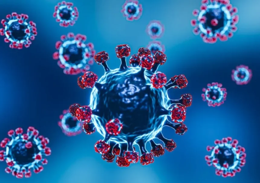 Mengungkap Torso Bella Virus: Apa Sebenarnya Virus Rubella?
