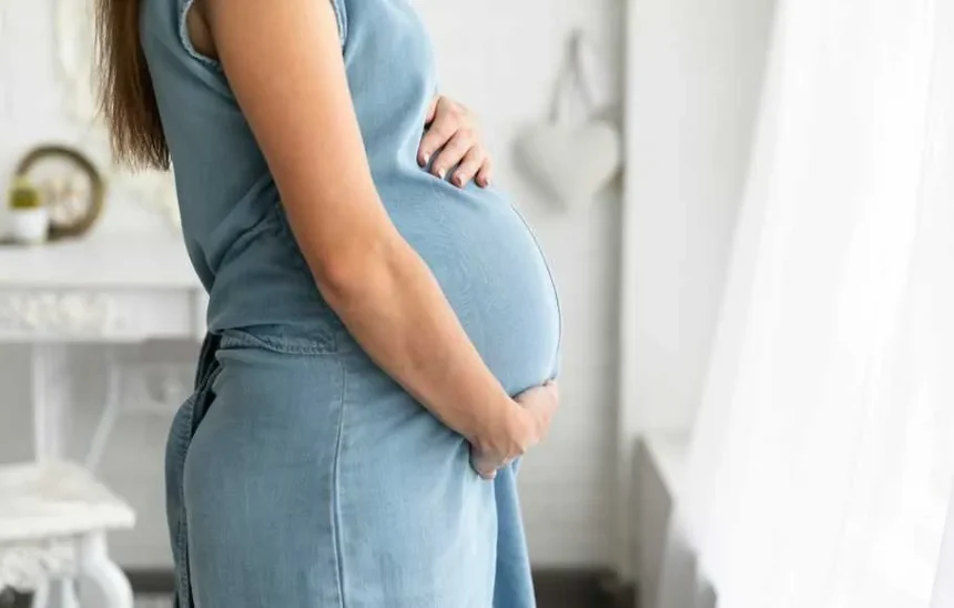 Hamil Sehat, Jauhi 6 Makanan Mentah Ini Agar Terhindar dari Risiko Rubella dan Infeksi Seperti Nita Vior