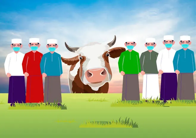 Satu Sapi untuk Tujuh Keluarga: Mengurai Dilema Kurban Hemat di Idul Adha