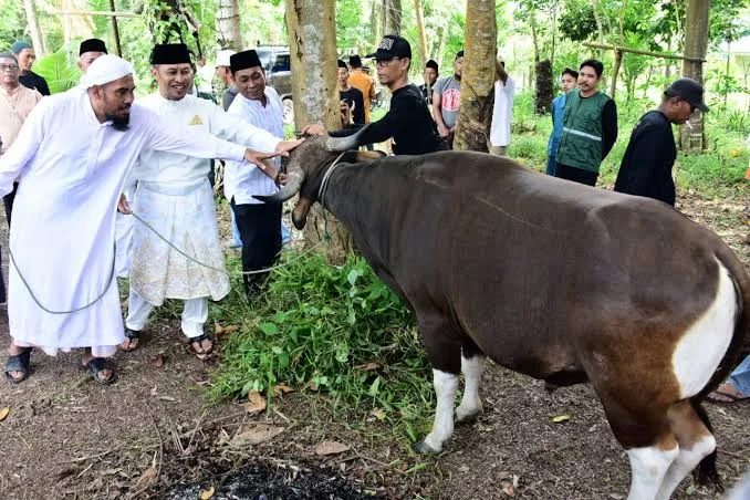 Dilema Kurban Hemat: Antara Efisiensi dan Syariat, Mana yang Utama?