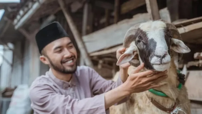 Berkurban: Mengungkap Hikmah dan Keutamaannya