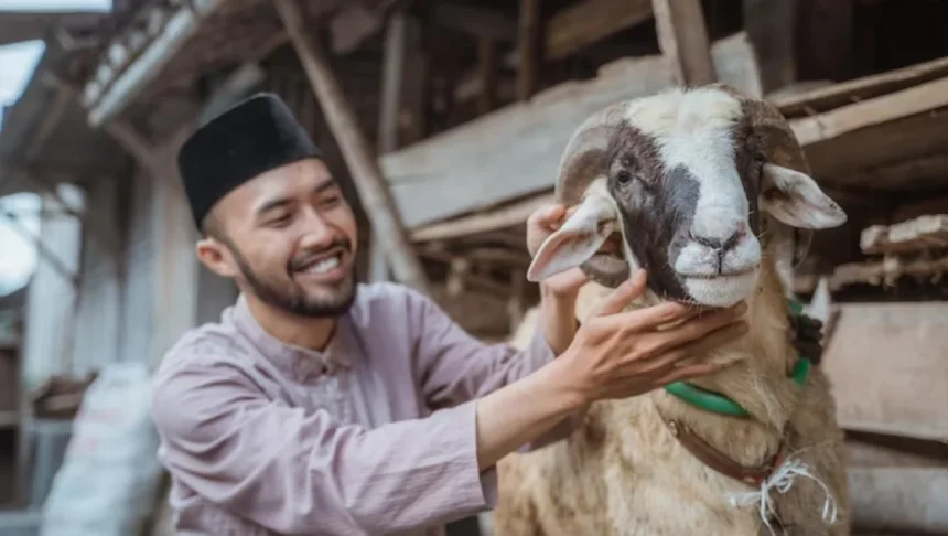 Menelusuri Makna Ibadah Kurban di Era Modern