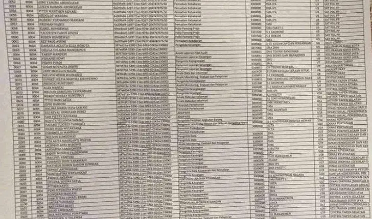 Nama-nama Honorer yang Diangkat ASN Tanpa Tes 2024, Berikut Daftar Prioritasnya! (Ilustrasi)