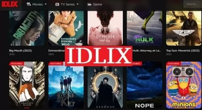Streaming Lancar di IDLIX Tanpa VPN dengan Yandex, Ini Caranya! (Ilustrasi)