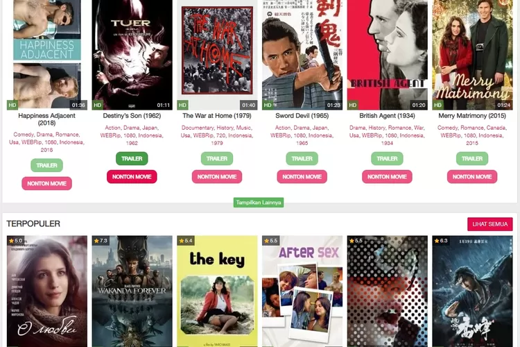 Maraknya Situs Streaming Ilegal Seperti LK21 dan IndoXXI, Ini Alternatif Aman untuk Menonton Film! (Ilustrasi)