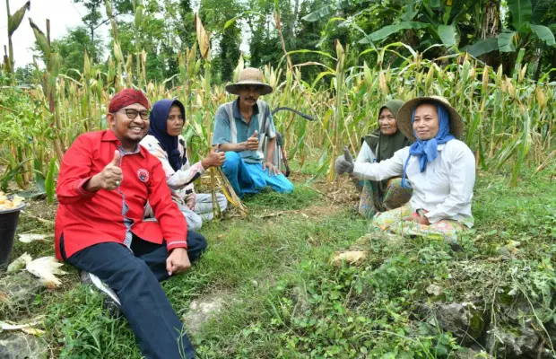 Pemkab Sumenep Fasilitasi Asuransi Ketenagakerjaan Gratis untuk Petani Tembakau dengan DBHCHT (Ilustrasi)